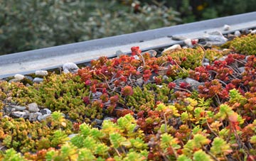the cost of Dockroyd green roof installation