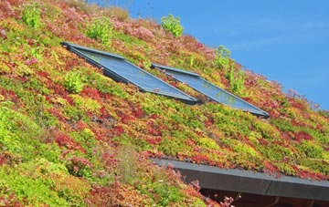 Dockroyd living roof systems