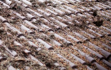 Dockroyd roof cleaning companies