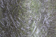 Dockroyd fibreglass roof work